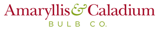 Caladium Bulb Company